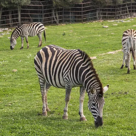 House For Rent Ulika Vakantiehuis