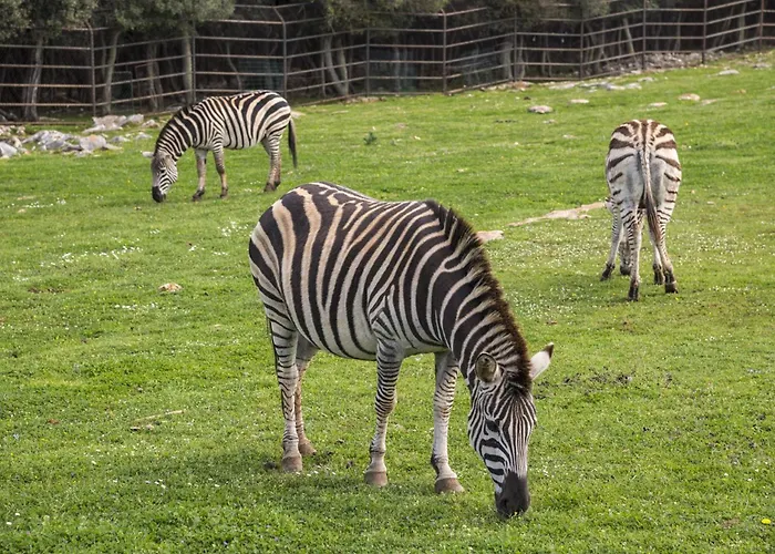 House For Rent Ulika Дом отдыха